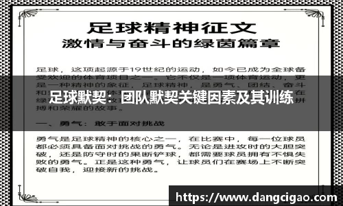 足球默契：团队默契关键因素及其训练