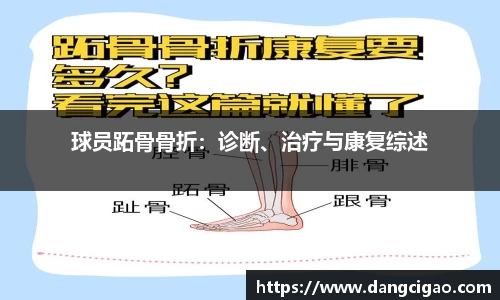 球员跖骨骨折：诊断、治疗与康复综述